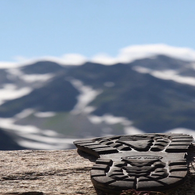 Welcome to the WayFinders Network